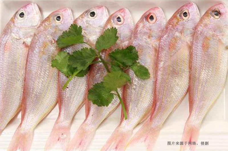 越南冷凍魚進(jìn)口清關(guān)流程